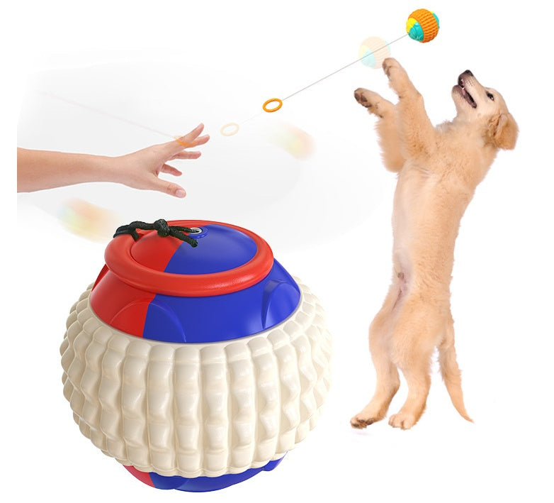 Unleash the Fun with the ABS Pet Training Throwing Ball Chew Toy