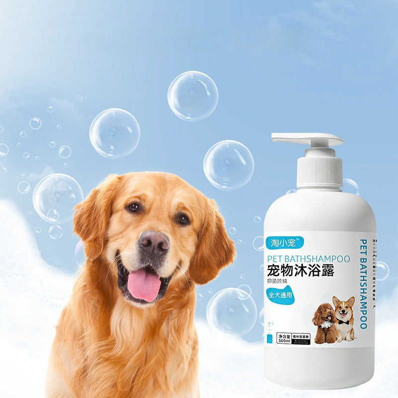 The Ultimate Pet Bath Grooming Shampoo Experience